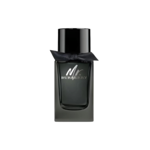 Mr. Burberry Eau de Parfum