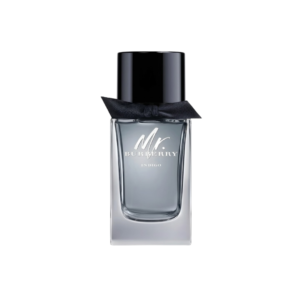 Mr. Burberry Indigo